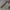Zoro Red Wooden LED Katana 104cm