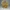 DBZ Golden Shenron 22cm Figure