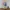 Vegita VS Majin Buu 32cm Highly Detailed Action Figure