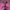 Boa Standing 24cm Figure Detailed Figure