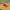 Shinchan Red Crying Moveable Figure