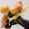 ze Zenitsu Agatsuma Action Figure 13cm